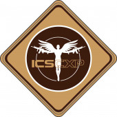 ICS MS-53 ICS CXP Patch 80x80mm Tan